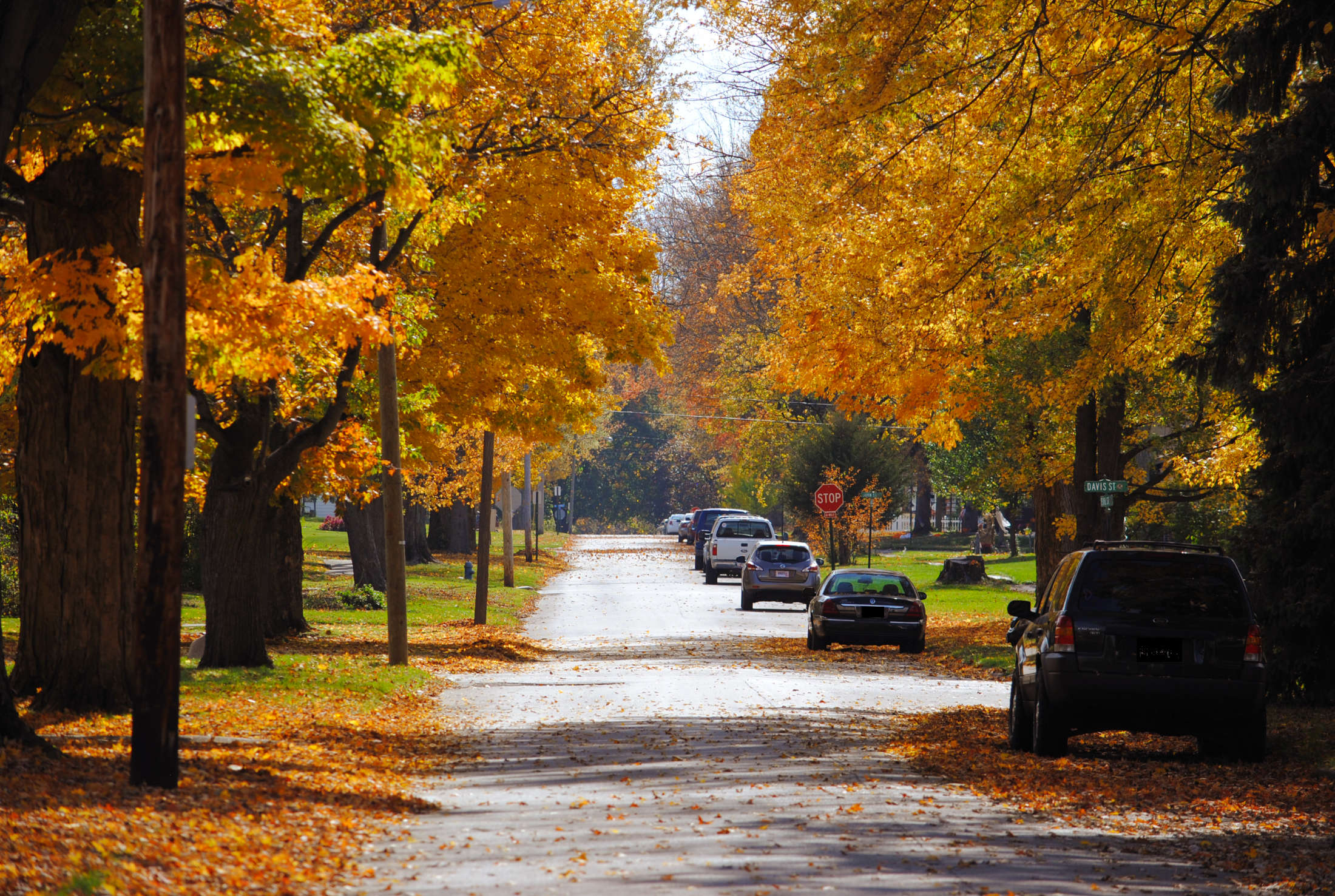 Autumn Trees in Crestline, Ohio